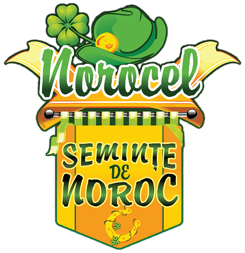 flat-mockup-template